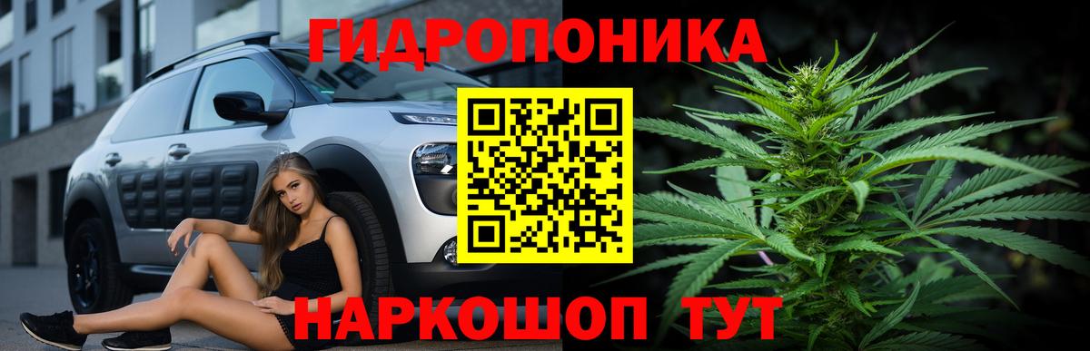Канабис Bruce Banner Канаш